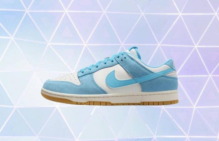 Nike toma medidas enérgicas y ofrece este modelo Dunk Low a un precio nunca antes visto en su sitio (stock limitado)