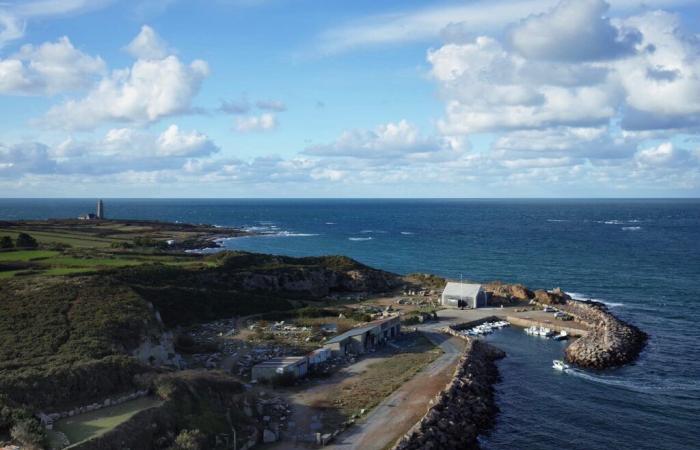 Hallados dos restos de ovejas flotando en este puerto de Cotentin