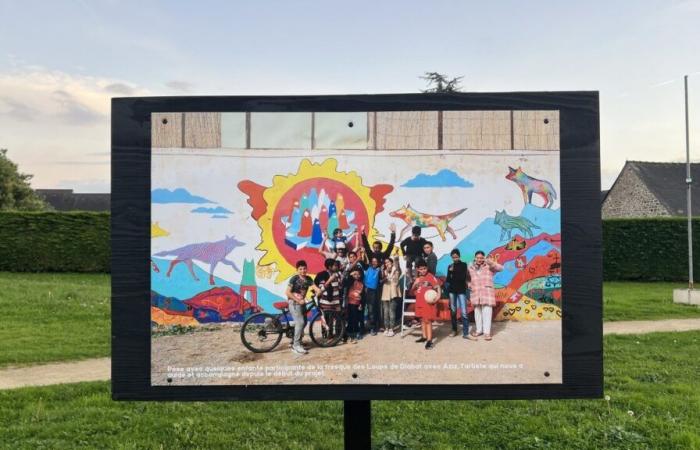 Colores y solidaridad en el jardín público.