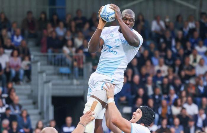 Top 14 – “No sabía que teníamos derecho a tocar el saltador en el aire”: análisis de la polémica del ensayo de Castres