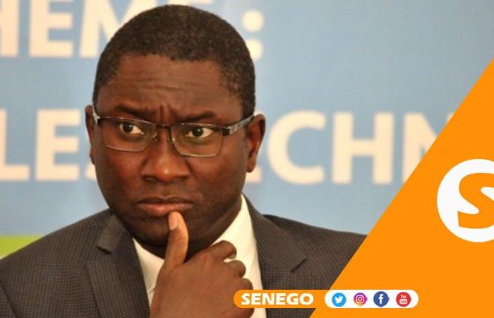 “No podemos juzgar a Macky Sall por actos que presuntamente cometió durante el ejercicio de sus funciones”, I. Madior Fall