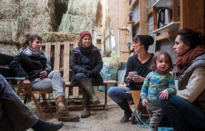 Larzac visto por Philémon d’Andurain se expone en Ping-Pong le Toit en Millau