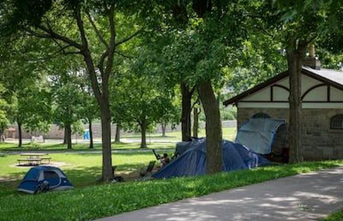 Personas sin hogar, salud mental, drogas: los informes de habitantes de Montreal aumentan a 311