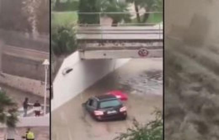 Esta belga afincada en Valencia dejó un último mensaje engañoso a su madre antes de desaparecer durante las inundaciones