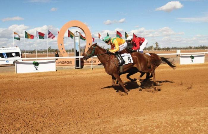 Gran éxito de la 3ª edición del Gran Premio Africano de Carreras de Caballos