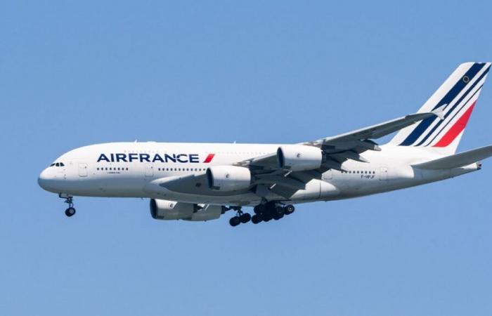 “Un objeto luminoso a gran altura”: Air France decide no sobrevolar más la zona del Mar Rojo