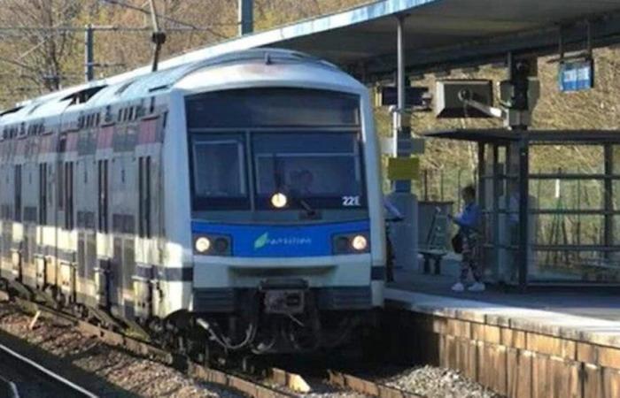 Pelea en un RER: menores heridos con hachas