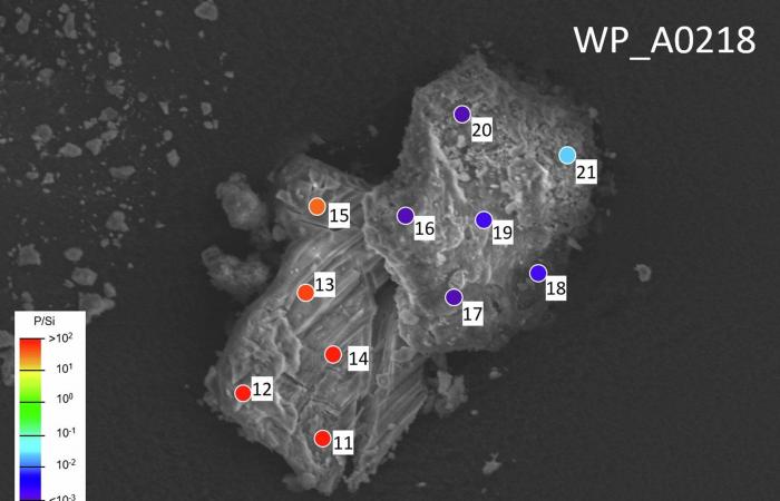 ???? Estos componentes clave del ADN y el ARN descubiertos en el espacio, en Ryugu