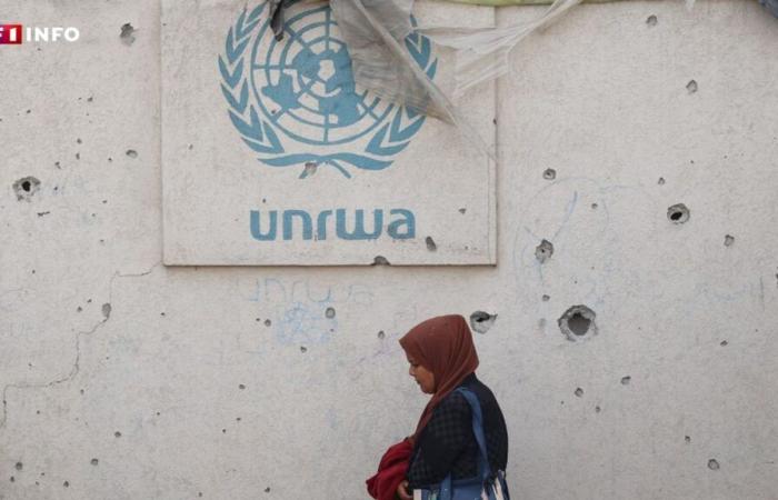 La ONU notificada oficialmente por Israel de la cancelación del acuerdo con la UNRWA, su agencia para los refugiados