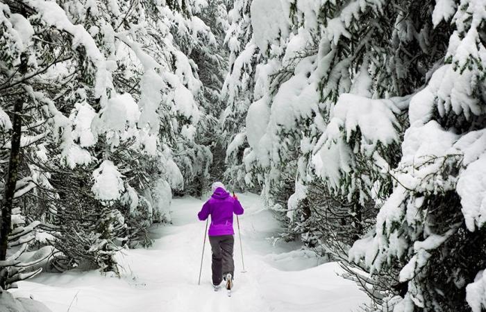 10 consejos para escapar de la tristeza de noviembre