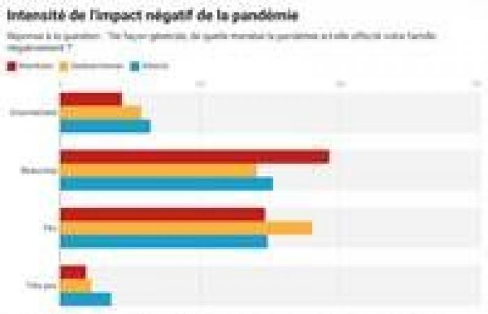 Se identifican mejor los efectos de la pandemia en las familias francófonas