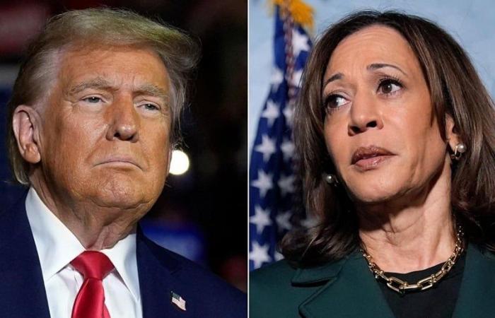 ¿Quién ganará las elecciones, Trump o Harris?