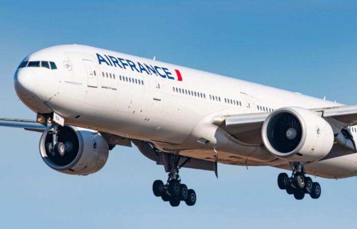 Air France suspende algunos vuelos y la tripulación detecta un objeto luminoso