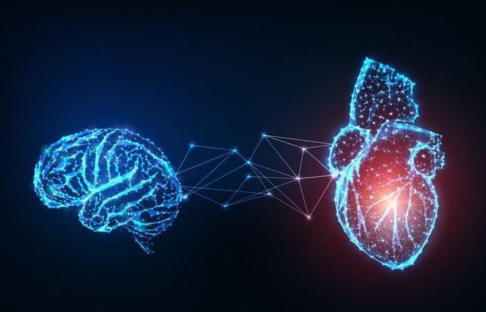 La AHA explora los vínculos entre el corazón y el cerebro