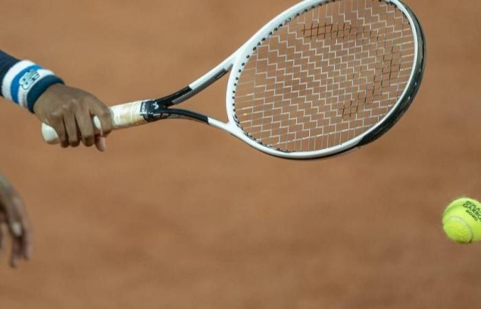 Predicción Guinard vs. Zizou Bergs, probabilidades de ganar el Moselle Open