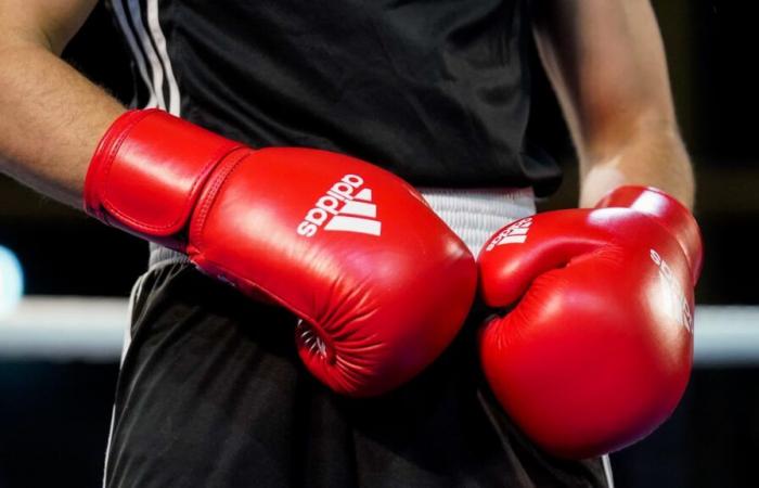 La Federación Francesa de Boxeo toma una fuerte decisión para “garantizar el lugar” de sus boxeadores en los Juegos Olímpicos