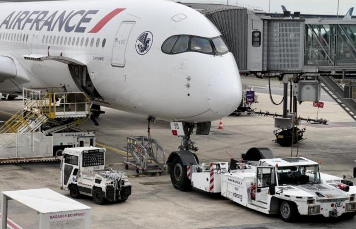 Un avión de Air France ve un “objeto luminoso” sobre el Mar Rojo y se da vuelta