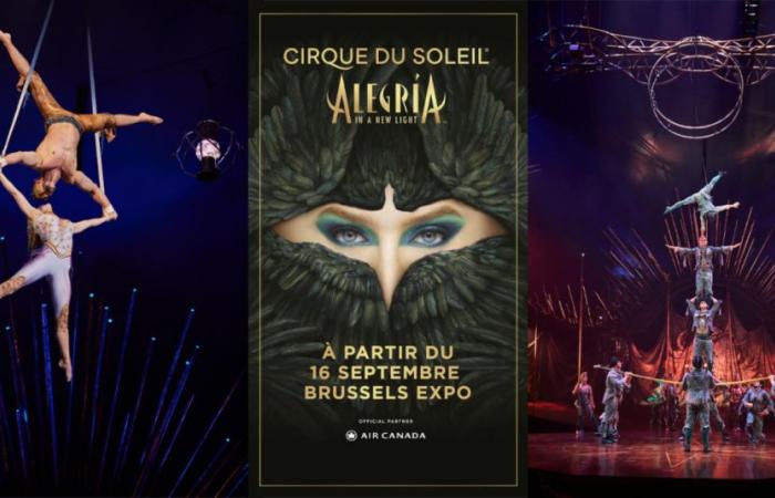 Cirque du Soleil regresa a Bélgica en septiembre de 2025