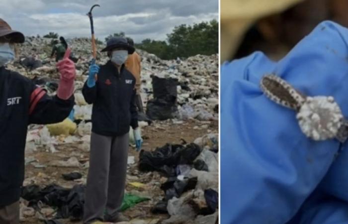 Encuentra su diamante en un vertedero después de 30 horas