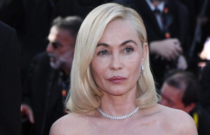 Emmanuelle Béart: madre orgullosa, ¡revela una rara foto de sus hijos que han crecido!