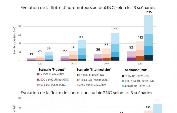 ¿Qué potencial tiene el bioGNC para la navegación fluvial y costera?