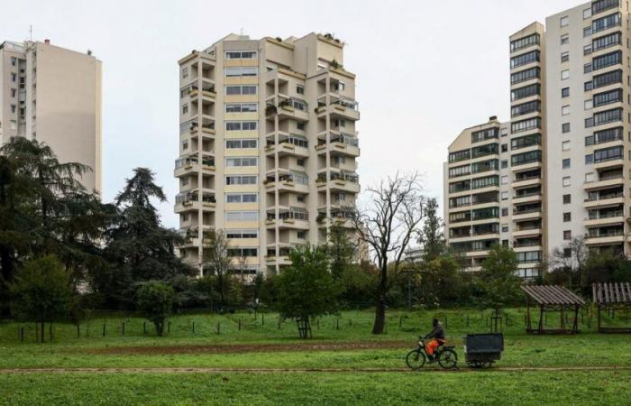 Un nuevo asesinato a tiros en el distrito Tonkin de Villeurbanne