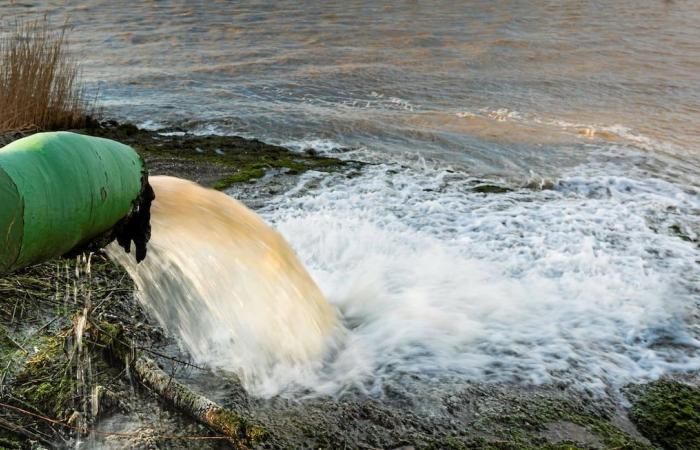 Gatineau prepara una moratoria sobre el desarrollo de su territorio