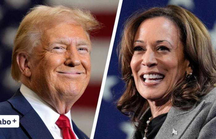 ¿Harris o Trump? Escenarios sobre el resultado de las elecciones presidenciales.