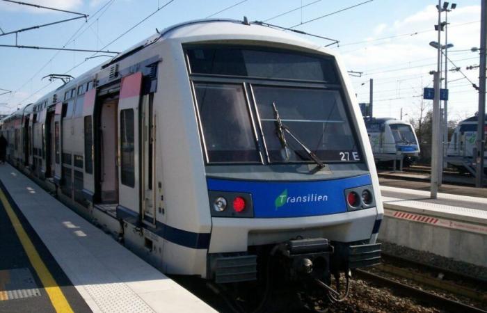 Estalla una pelea en el RER E, cuatro personas heridas con hachas