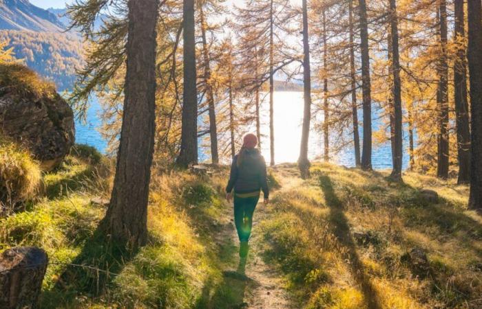 El verano indio continúa con un calor récord en las montañas