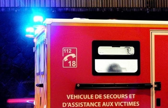 Gard. Un septuagenario muere tras ser atropellado por un coche en Alès