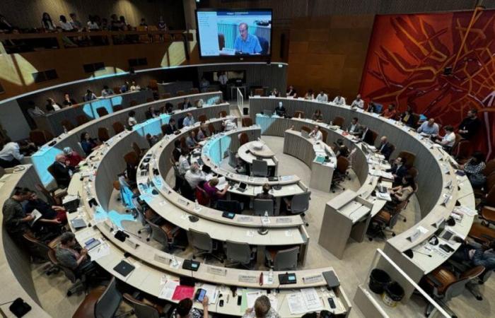 Política viva. El sí a las minicasas en el ayuntamiento de Estrasburgo