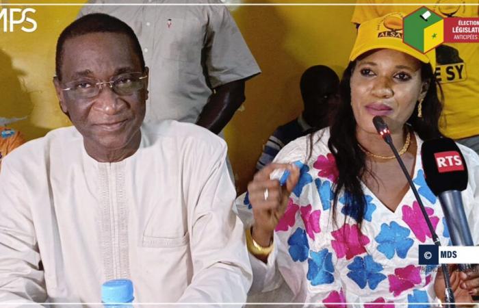 SENEGAL-LEGISLATIVOS-CAMPAÑA / En Kédougou, Mamadou Racine Sy promete ser la voz de los jubilados en la Asamblea Nacional – Agencia de Prensa Senegalesa