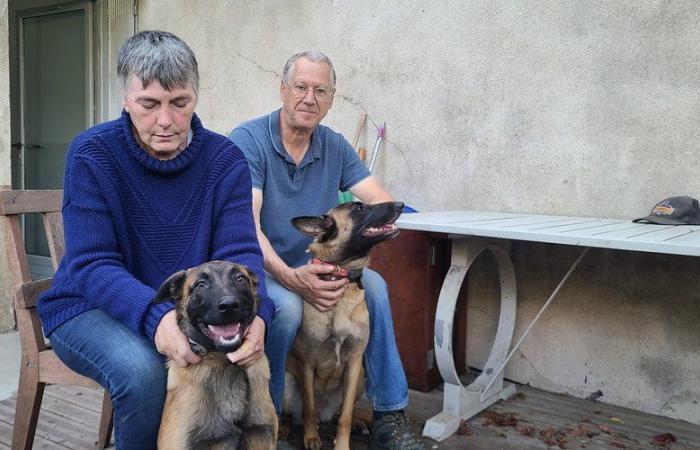 “Fuimos salvados por las víctimas”: superviviente de las inundaciones en España, una pareja del Gard relata una semana de caos