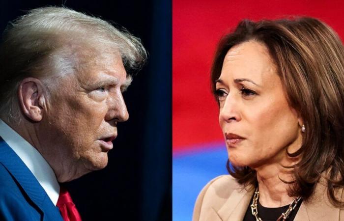 Lo que muestran las encuestas sobre la carrera Trump-Harris de cara a las elecciones de 2024