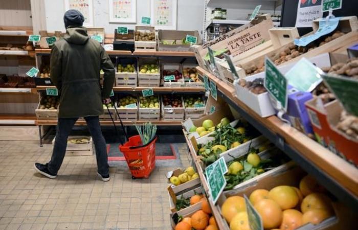 Instituciones científicas mantienen dudas sobre los beneficios de lo orgánico