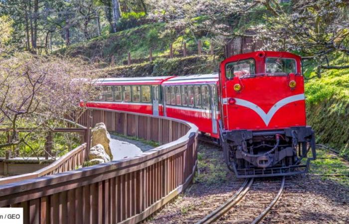 “Es como sumergirse en otro mundo”: en Taiwán, un tren pintoresco para visitar el pasado