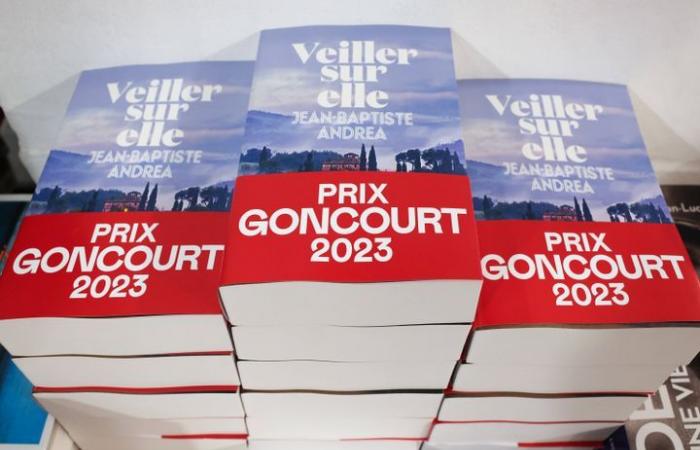 cómo la edición francesa publica sus libros en carteles organizados