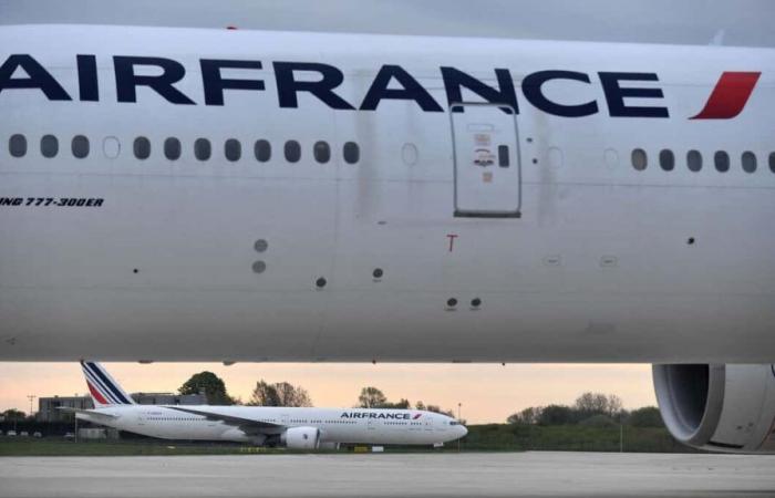 “Objeto luminoso”: Air France suspende vuelos sobre la zona del Mar Rojo por precaución