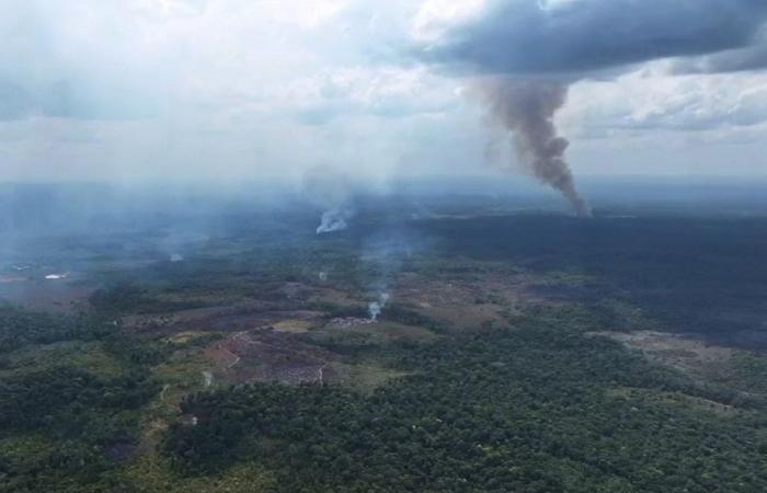 Ante sequía e incendios, declaran estado de emergencia de salud pública en Amapá