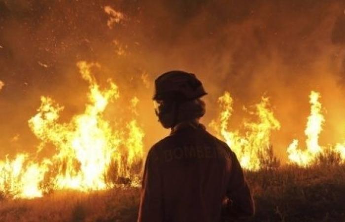 Desde el viernes, las concesiones se incendian alternativamente en el pueblo de Koul