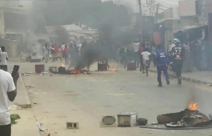 CUDIS condena violencia política y propone “JUBOO”