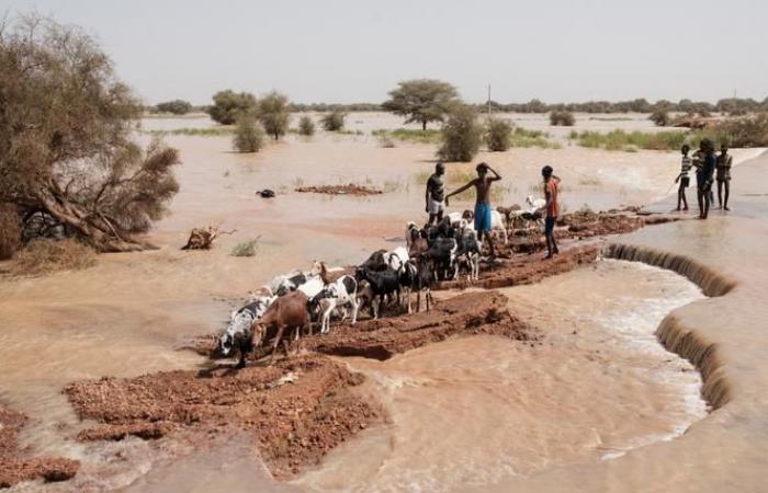 En Senegal, las inundaciones desplazan a más de 56.000 personas en el este del país