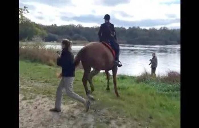 Intento de asesinato, caza controvertida, granjero enojado, OLB y RCO imparables… El resumen del fin de semana en Loiret