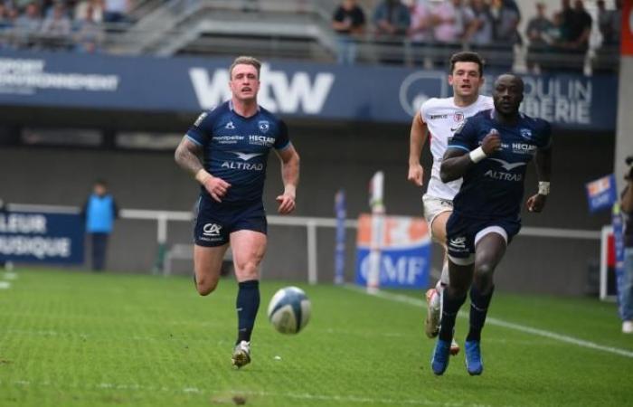 Stuart Hogg se declara culpable de acoso doméstico