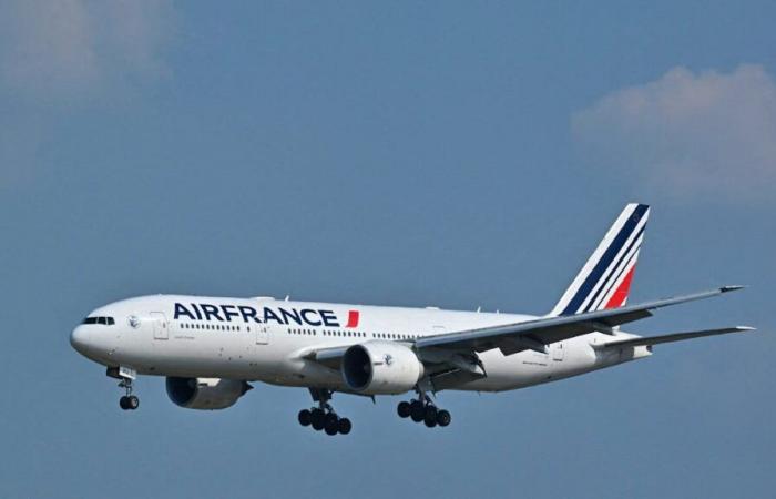 “Objeto luminoso”: Air France suspende vuelos sobre el Mar Rojo por precaución