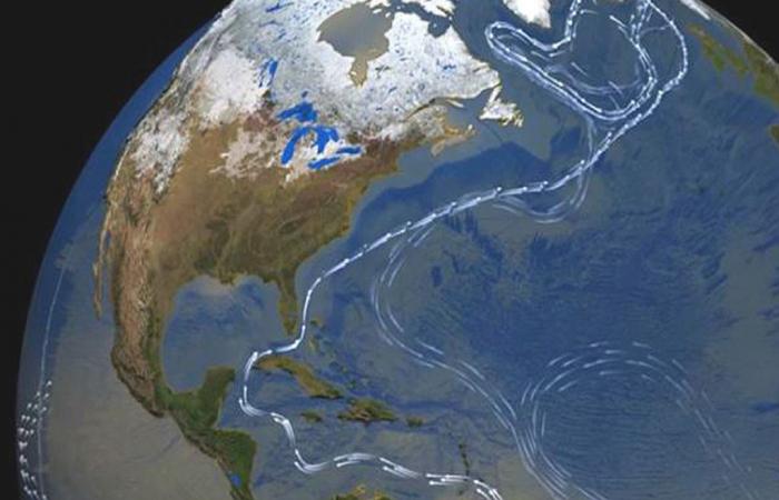 ¡El debilitamiento de la corriente del océano Atlántico podría provocar el colapso de la selva amazónica!