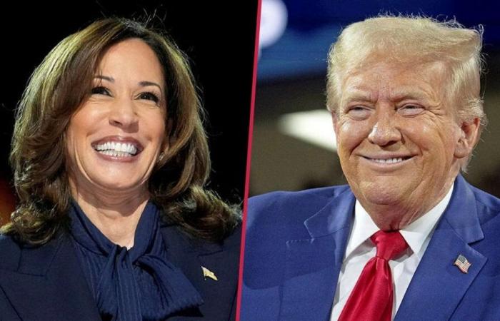 Elecciones estadounidenses: Trump vs. Harris: ¿qué representan los candidatos? | política