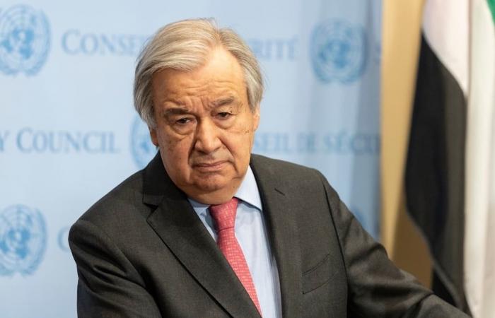 Soldados norcoreanos en Ucrania: la ONU teme una escalada