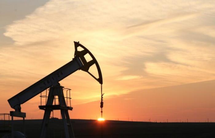 El petróleo repunta gracias a la OPEP+ que pospone sus aumentos de producción